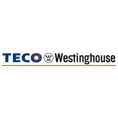 TECO Westinghouse: Our Clients